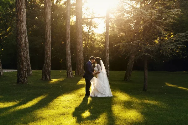 Çim tam ortasında duran muhteşem gelin damat hugs — Stok fotoğraf