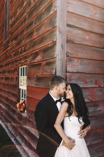 Жених восхищается невестой, обнимающей ее сзади на углу woo — стоковое фото