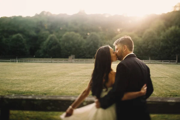 Bruden sprer kjolen sin mens brudgommen kysser henne i lyset fra – stockfoto