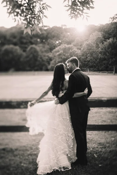 Black and white picture of handsome groom kissing bride on the f — Stock Photo, Image