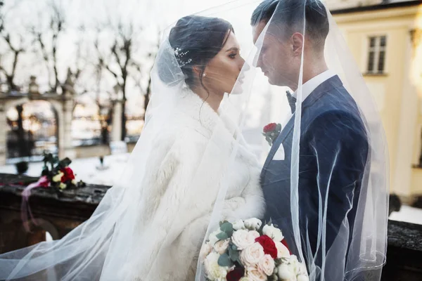 Recém-casados abraçar sob o véu de pé na velha varanda — Fotografia de Stock