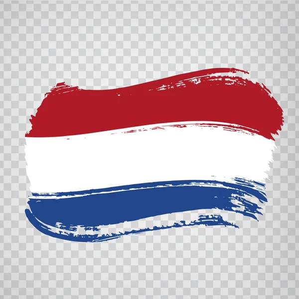 Flag Kingdom of the Netherlands from brush strokes.  Flag  of Netherlands on  transparent background for your web site design, logo, app, UI. Europe. Vector illustration EPS10 — Stock Vector