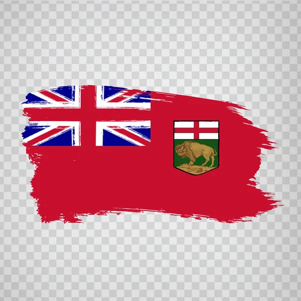 Manitoba Fırça Darbeleri Bayrağı Flagmanitoba Eyaleti Nin Internet Sitesi Tasarımı — Stok Vektör