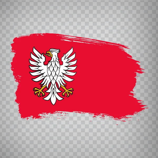 Zászló Masovian Vajdaság Ecsetvonások Flag Masovian Voivodeship Átlátszó Háttérrel Weboldal — Stock Vector