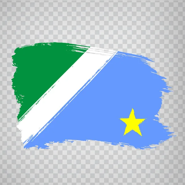 Vlag Van Matu Grosso Sul Van Penseelstreken Federale Republiek Brazilië — Stockvector