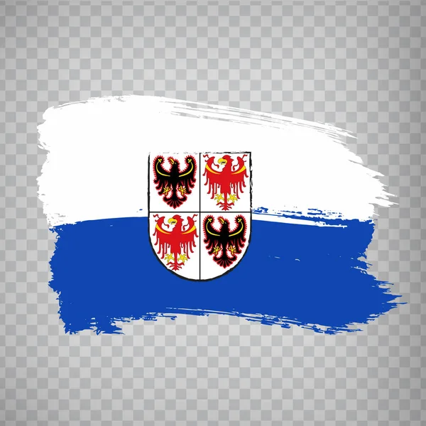 Vlajka Trentina Alto Adige Tahů Štětcem Italská Republika Vlajka Trentino — Stockový vektor