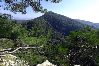 güzel dağ manzarası