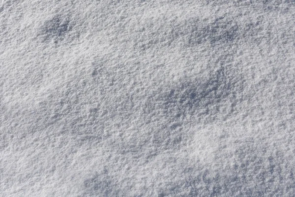 Sombra Contrastante Sobre Nieve Blanca — Foto de Stock