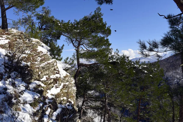 Eagle Rock Rocher Prométhée Dans Neige Sotchi Russie — Photo