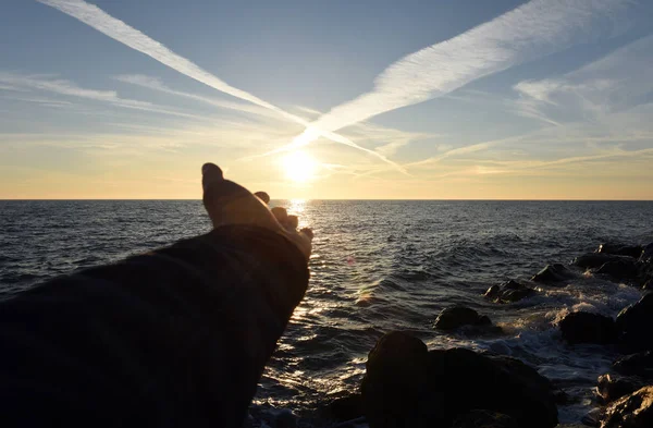 日落在海面上 太阳在一只手里 航海背景 免版税图库照片