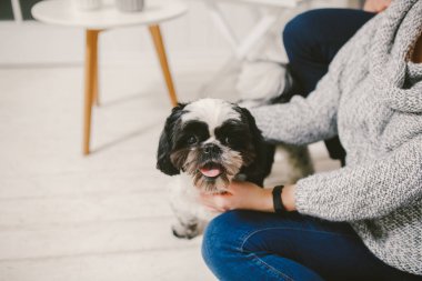 Shih Tzu oturan kişi, bir köpek ve bir aile ile,