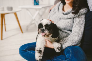 Shih Tzu oturan kişi, bir köpek ve bir aile ile,
