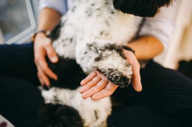 Shih Tzu oturan kişi, bir köpek ve bir aile ile,