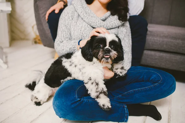 Shih Tzu oturan kişi, bir köpek ve bir aile ile, — Stok fotoğraf