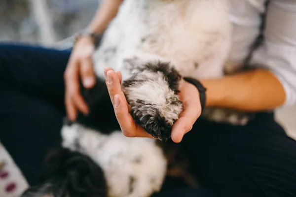 Shih Tzu oturan kişi, bir köpek ve bir aile ile, — Stok fotoğraf