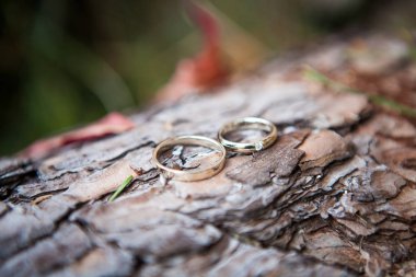 Eski ahşap doku üzerinde çift alyans