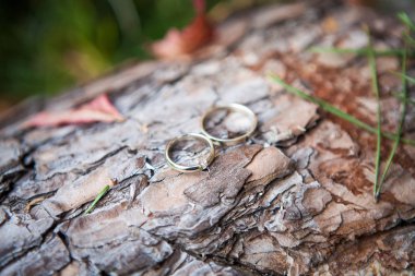 Eski ahşap doku üzerinde çift alyans