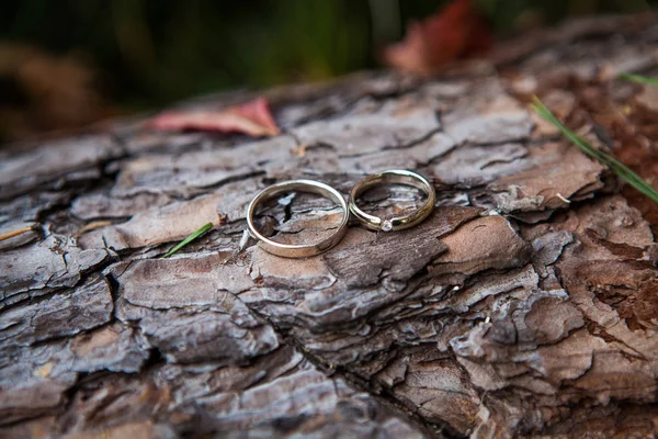 Pareja anillos de boda en textura de madera vieja —  Fotos de Stock