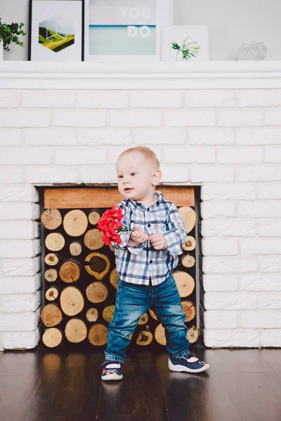 Small, funny boy one year of birth holds in his hands red artificial flowers on the background of a fireplace