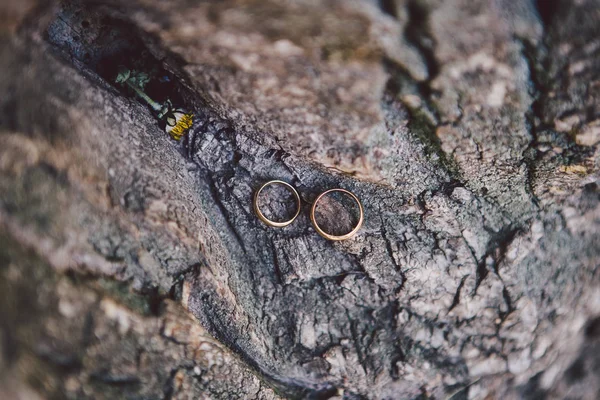 Pareja de anillos de boda en la textura de madera vieja, la corteza del árbol — Foto de Stock