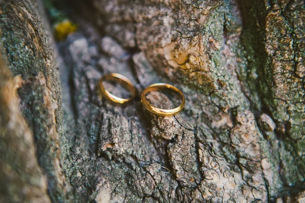 Pareja de anillos de boda en la textura de madera vieja, la corteza del árbol — Foto de Stock