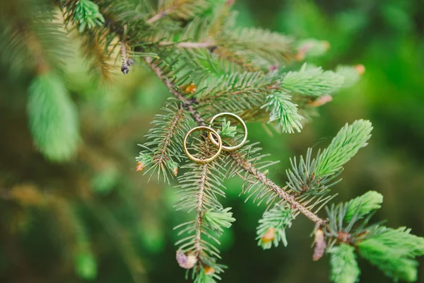 Красивые золотые кольца для церемонии свадьбы — стоковое фото