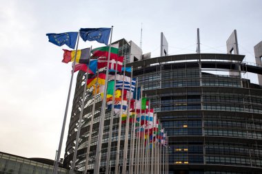 Avrupa Parlamentosu bir akşamı sallayarak bayrakları ile Fransa'nın Strasbourg kentinde bina
