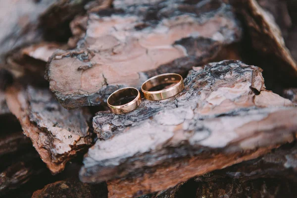 Pareja anillos de boda en textura de madera vieja — Foto de Stock