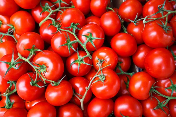 Red tomatoes background Group of tomatoes — Free Stock Photo