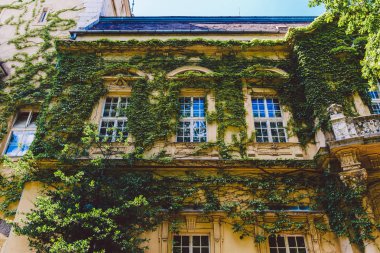 Lakefront üzerinde güzel ortaçağ kalesi. Şehir Park Budapeşte Macaristan