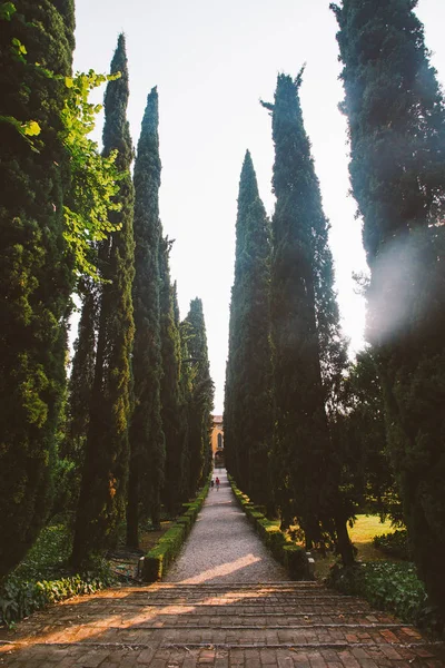 Jardín Giusti en Verona, Italia. Arquitectura y punto de referencia de Verona. Postal de Verona — Foto de Stock