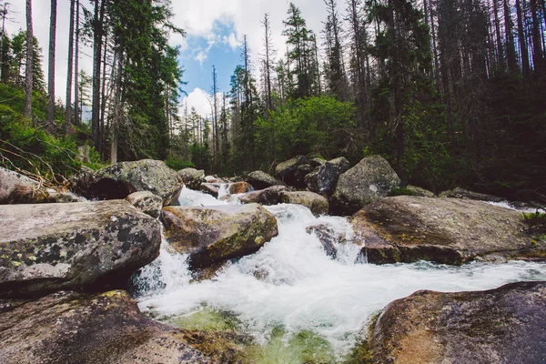 Munte, vârf, înalt Tatras, vară, Slovacia — Fotografie, imagine de stoc