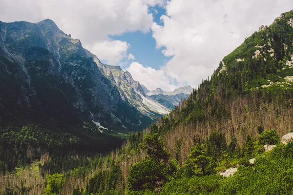 Alta Tatras en Eslovaquia en verano, vista de las montañas, montañas de la casa en el fondo — Foto de Stock