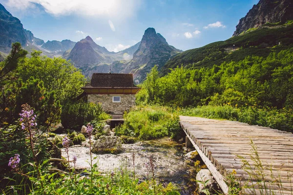 Höga Tatrabergen i Slovakien i sommar, utsikt över bergen, hus bergen i bakgrunden — Stockfoto