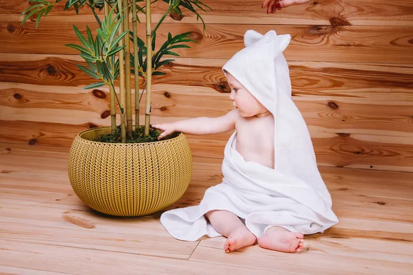 Το μωρό τυλιγμένο σε μια λευκή πετσέτα, κάθονται σε ξύλινα φόντο κοντά σε ένα δέντρο μπαμπού σε κατσαρόλα — Φωτογραφία Αρχείου