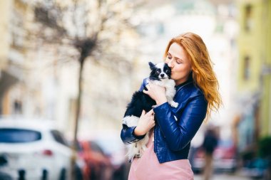 Genç redhaired beyaz bir kadın çiller ile tutar ve öper, siyah ve beyaz kucaklayan tüylü köpek Chihuahua cins. mavi deri ceket giymiş kız Avrupa'da baharda sokakta duruyor