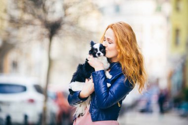 Genç redhaired beyaz bir kadın çiller ile tutar ve öper, siyah ve beyaz kucaklayan tüylü köpek Chihuahua cins. mavi deri ceket giymiş kız Avrupa'da baharda sokakta duruyor