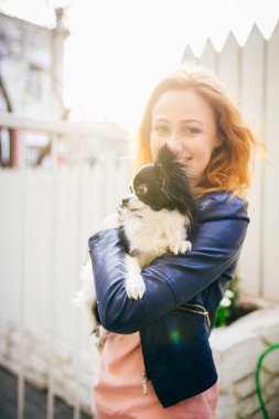 Genç Kızıl saçlı beyaz bir kadın, iki renk siyah ve beyaz Chihuahua kollarında küçük bir komik köpek tutar. Hugs ve öper Beyaz ahşap çit karşı aşk fuarlarında günbatımı