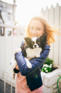 Genç Kızıl saçlı beyaz bir kadın, iki renk siyah ve beyaz Chihuahua kollarında küçük bir komik köpek tutar. Hugs ve öper Beyaz ahşap çit karşı aşk fuarlarında günbatımı