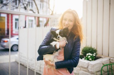 Genç Kızıl saçlı beyaz bir kadın, iki renk siyah ve beyaz Chihuahua kollarında küçük bir komik köpek tutar. Hugs ve öper Beyaz ahşap çit karşı aşk fuarlarında günbatımı