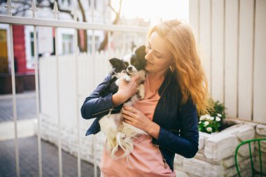 Genç Kızıl saçlı beyaz bir kadın, iki renk siyah ve beyaz Chihuahua kollarında küçük bir komik köpek tutar. Hugs ve öper Beyaz ahşap çit karşı aşk fuarlarında günbatımı