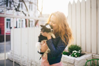 Genç Kızıl saçlı beyaz bir kadın, iki renk siyah ve beyaz Chihuahua kollarında küçük bir komik köpek tutar. Hugs ve öper Beyaz ahşap çit karşı aşk fuarlarında günbatımı