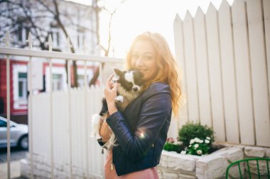 Genç Kızıl saçlı beyaz bir kadın, iki renk siyah ve beyaz Chihuahua kollarında küçük bir komik köpek tutar. Hugs ve öper Beyaz ahşap çit karşı aşk fuarlarında günbatımı