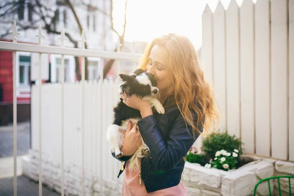 Una joven mujer caucásica pelirroja sostiene a un pequeño perro divertido en los brazos de dos colores de chihuahua blanco y negro. Abrazos y besos amor se muestra contra una cerca de madera blanca al atardecer — Foto de Stock