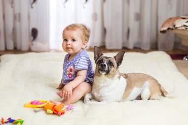 Komik küçük beyaz kız çocuk evde ışık halı katta sivilceli renk ve kısa saç ve komik büyük kulakları ile melez köpek en iyi arkadaşı oturur. Bebek kurabiye yiyor
