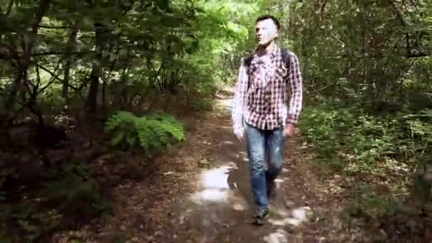 Turist man med ryggsäck vandring i skogen. Vit manlig vandrare utomhus i naturen. Turist ung man promenader i skogen med ryggsäck. Resor Vandring, Skog, Resor koncept. — Stockvideo