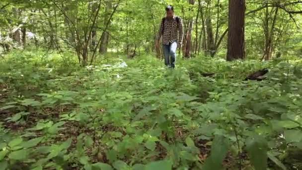 背着背包在森林里徒步旅行的游客。 在大自然中，白人男性徒步旅行者。 年轻的游客背着背包走在森林里。 远足、森林、旅程概念. — 图库视频影像