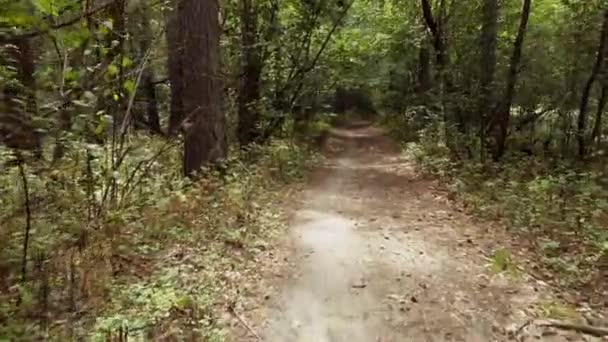 Τουρίστας με σακίδιο πεζοπορία στο δάσος. Καυκάσιος πεζοπόρος στη φύση. Τουριστικός νεαρός περπατά στο δάσος με σακίδιο πλάτης. Πεζοπορία, Δάσος, Ταξίδι έννοια. — Αρχείο Βίντεο