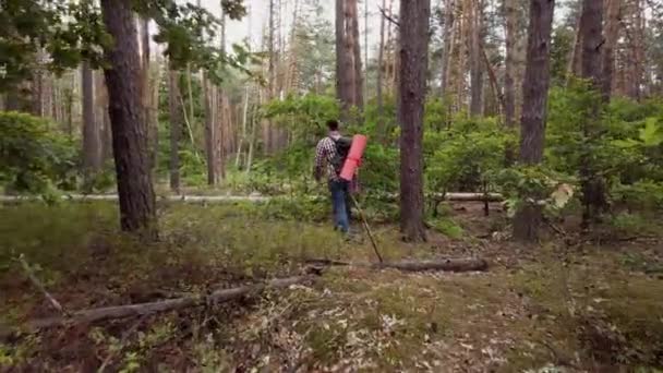 Turista con mochila senderismo en el bosque. Caminante masculino caucásico al aire libre en la naturaleza. Joven turista camina en el bosque con mochila. Viajes Senderismo, Bosque, Concepto de viaje . — Vídeos de Stock