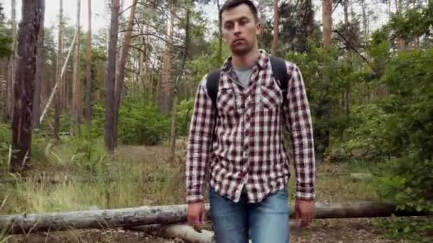 Turist man med ryggsäck vandring i skogen. Vit manlig vandrare utomhus i naturen. Turist ung man promenader i skogen med ryggsäck. Resor Vandring, Skog, Resor koncept. — Stockvideo